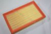 GM 09195316 Air Filter